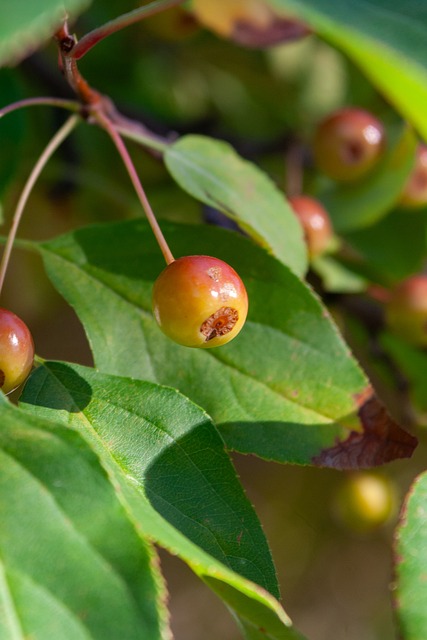 姆巴佩破記 姆巴佩破記