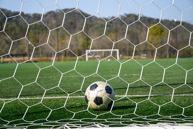 同时也显现 同时也显现