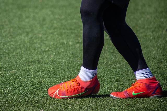 喜爱和管理 喜爱和管理