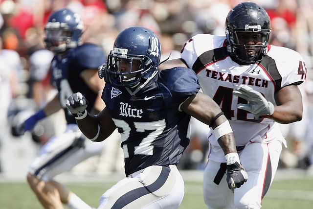 脏健康方案 脏健康方案