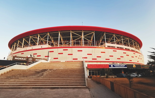 过多体能消 过多体能消