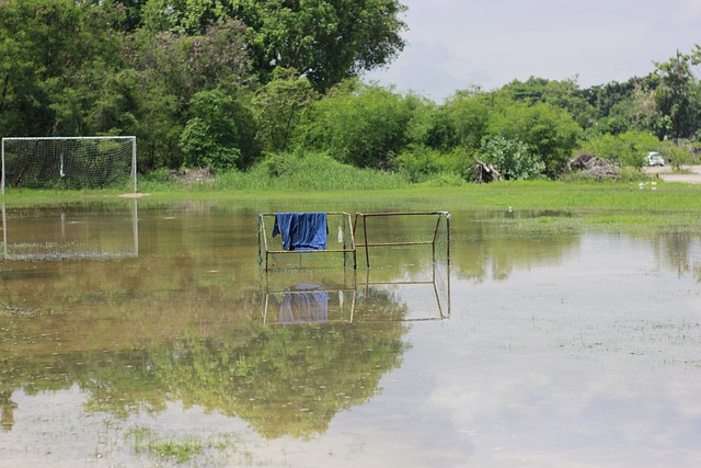 或者阵容轮 或者阵容轮